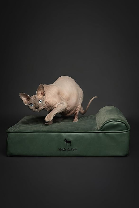 NOAH & PAW Small Dog Bed, 20x15x6.5 Inch, Cat Bed for Indoor Cats, Orthopedic Eggshell Memory Foam Infused with Cooling Gel, Waterproof, Machine Washable, Includes Inner Cover (Faux Leather)