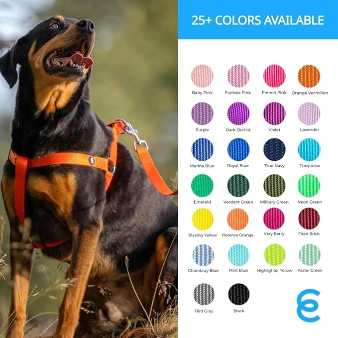 Blueberry Pet Essentials Pastel Green Dog Leash for Large - 4' * 1" Dogs | Heavy Duty Nylon Lead | Lightweight Puppy & Cat Leash for Walking & Training