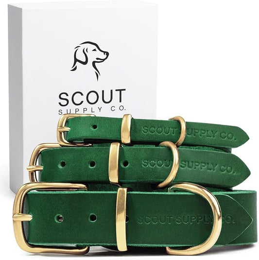 Classic Genuine Leather Dog Collar | Dog Collars for Medium Dogs, Small Dogs, Large Dogs & Extra Large Dog | Wide Dog Collar | Heavy Duty Collar (Green, XX Large)