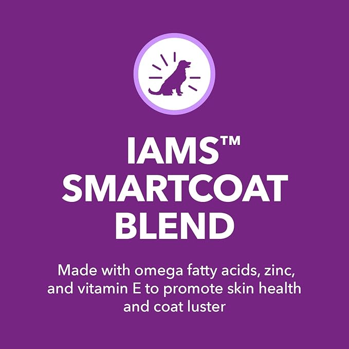 IAMS Advanced Health Skin & Coat Adult Dry Dog Food Chicken and Salmon Recipe, 6 lb. Bag