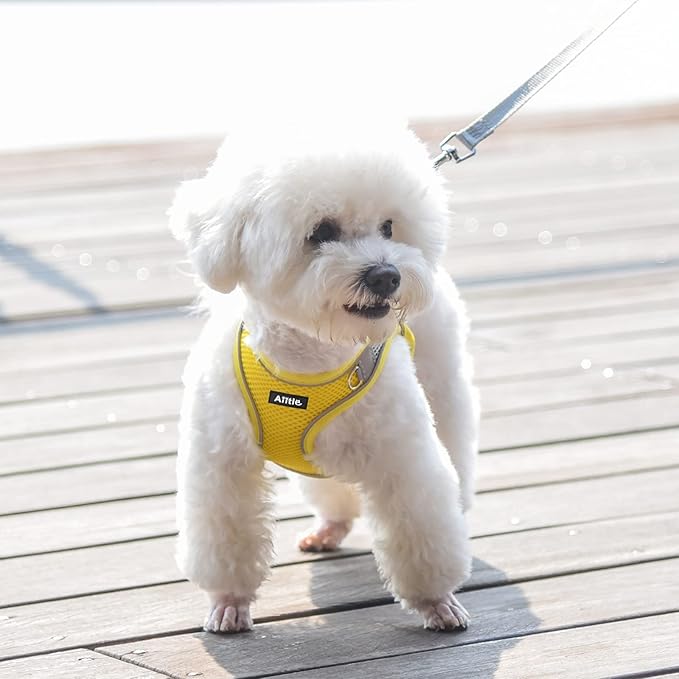 AIITLE No Pull Dog Harness and Leash Set, Step in Adjustable Pet Harnesses with Padded Vest for All Weather, Dog Leash with Soft Padded Handle, Easy to Put on Small and Medium Dogs Yellow S