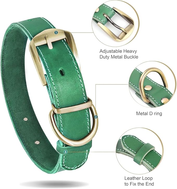 Didog Genuine Leather Dog Collars with Engraved Nameplate, Personalized Soft Leather Dog Collar with Custom ID Tag, Brown/Green/Red for Medium Large Dogs (L,Green)