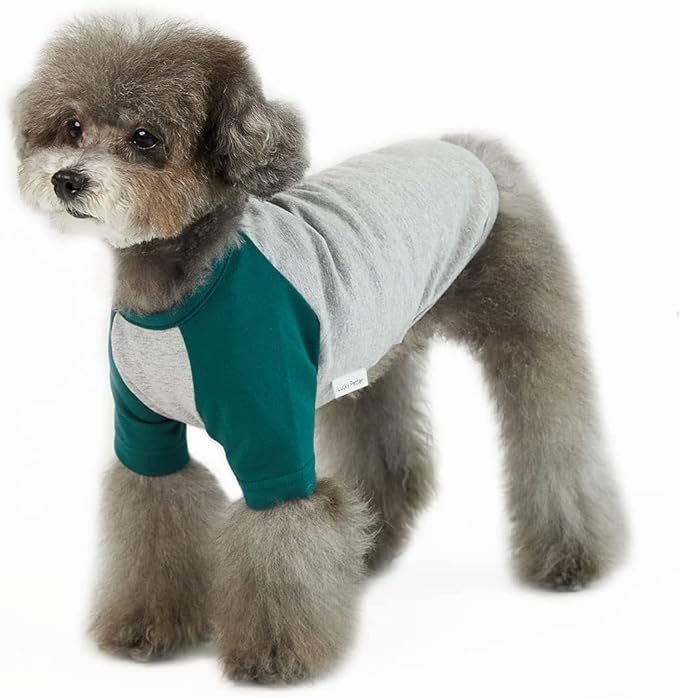 Dog Shirt for Small and Large Dogs Raglan Cotton T-Shirts Soft Breathable Dog Shirts pet Clothes Gray Series (Small, Gray/Green)