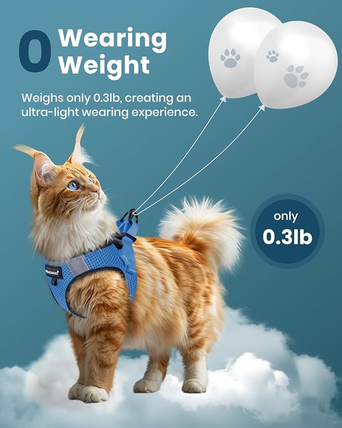 FAYOGOO Cat Harness, Cat Leash and Harness Set for Walking Escape Proof, Harness for Small Cats/Small Dogs, Large Kitten/Puppy Harness and Leash, Harness for Cats S-XXL(Tranquil Teal, XX-Large)