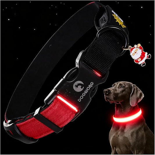 DOGWONG LED Dog Collar - Heavy Duty Light up Collars - Rechargeable Waterproof - Lighted Dog Collar for Night Walking, Hiking, Camping(Red,S)