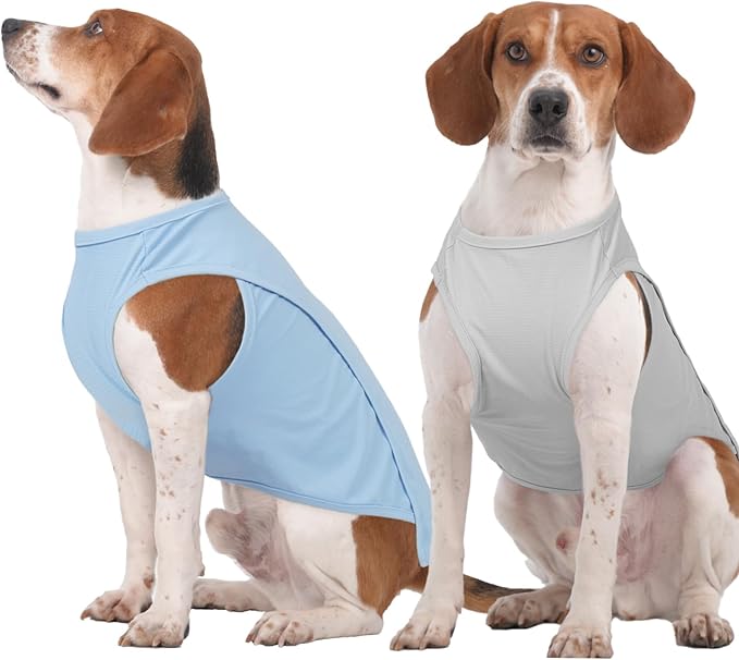 2 Pack Dog T-Shirts for Large Dogs, Quick Dry Cooling Vest, Summer UV Protection UPF50+ Shirt for Dogs Outdoor Hiking, Beach Trip, Travel, Blue+Grey, 2XL