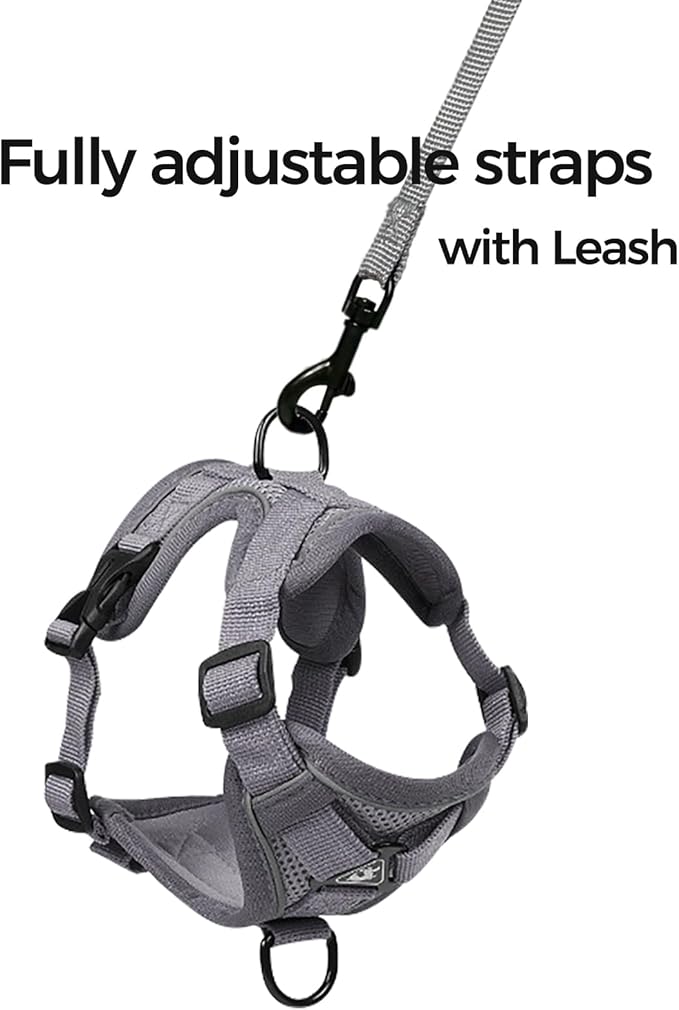 Cat Harness and Leash Set Escape Proof Tactical Extra Large Kitten Harness Emotional Support Cat Vest, Grey, XXL