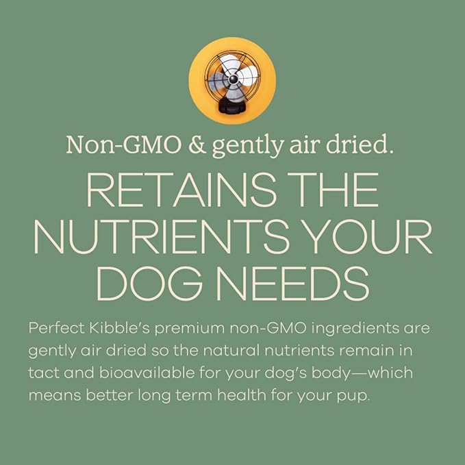 Yumwoof Perfect Kibble Non-GMO Air Dried Dog Food | Improves Allergies & Digestion with Organic Coconut Oil, MCTs & Antioxidants | Vet-Approved Soft Dry Diet | Made in USA (Beef 14 oz.)