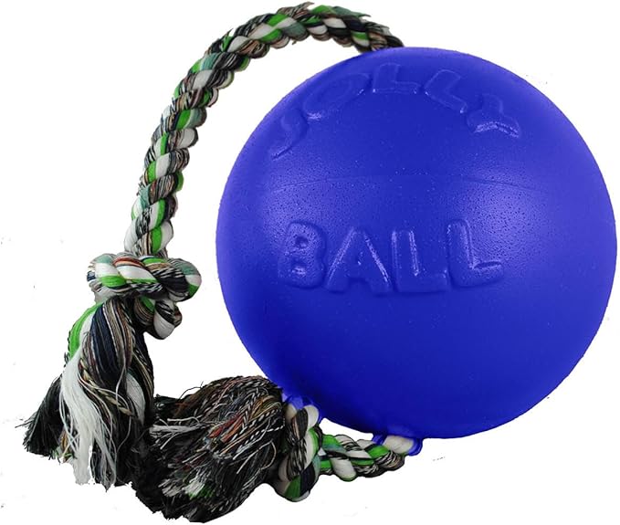 Jolly Pets Romp-n-Roll Rope and Ball Dog Toy, 6 Inches/Medium, Blueberry, Model Number: 606 BB, All Breed Sizes