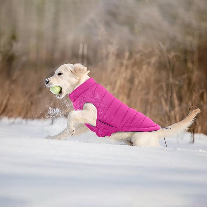 Lelepet Reversible Dog Coat Waterproof Dog Jacket Windproof Puffer Vest for Winter Warm Lightweight Coats for Small Dogs Adjustbale Hook & Loop Pet Apparel with Leash Hole, Chihuahua, Rose Red, XS