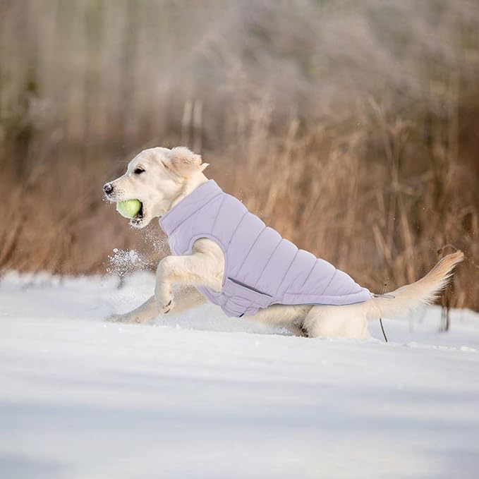 Lelepet Reversible Dog Coat Waterproof Dog Jacket Windproof Puffer Vest for Winter Warm Lightweight Coats for Small Dogs Adjustbale Hook & Loop Pet Apparel with Leash Hole, Pug, Purple, M