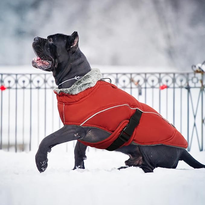 DENTRUN Small Dog Winter Warm Coat - Windproof Cozy Jacket, Thick Fleece Vest with Adjustable Belt, Water Repellent, Reflective Dog Sweater for Yorkie Dachshund Wear, Red, S