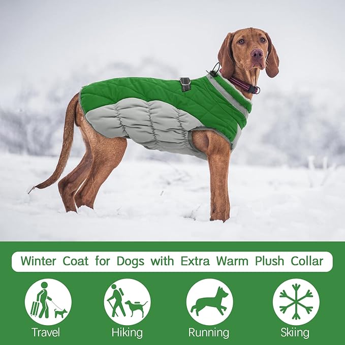 FUAMEY Dog Coat for Small Dogs,Waterproof Dog Winter Jacket with Harness Built in Puppy Cold Weather Coats Reflective Pet Vest with Zipper Warm Fleece Dogs Snowsuit Windproof Green S
