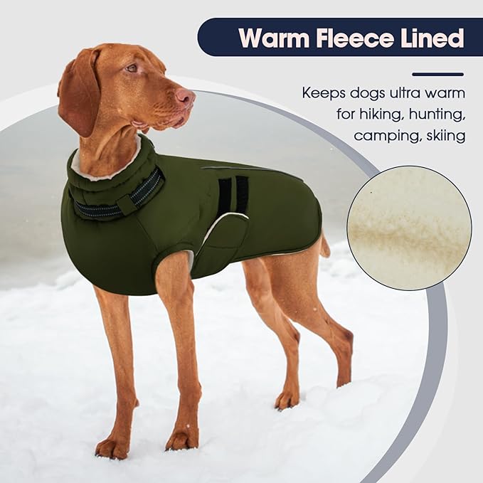 IECOii Small Dog Coat, Waterproof Dog Snow Jacket with Built in Collar, Thermal Fleece Lined for Cold Weather, Safety Reflective Dogs Winter Coat for Nighttime Walks, Easy On/Off, Army Green - M