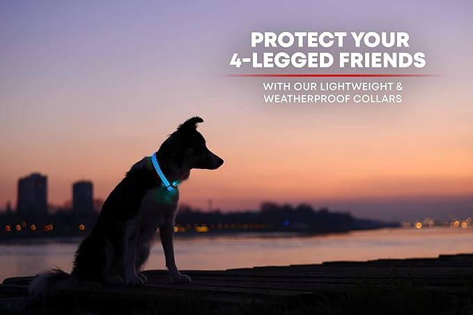 ILLUMISEEN LED Dog Collar USB Rechargeable - Bright & High Visibility Lighted Glow Collar for Pet Night Walking - Weatherproof, in 6 Colors & 6 Sizes (Blue X-Small)