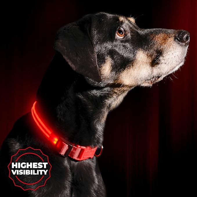 Illumiseen LED Dog Collar USB Rechargeable - Bright & High Visibility Lighted Glow Collar for Pet Night Walking - Weatherproof, in 6 Colors & 6 Sizes (Red X-Small)