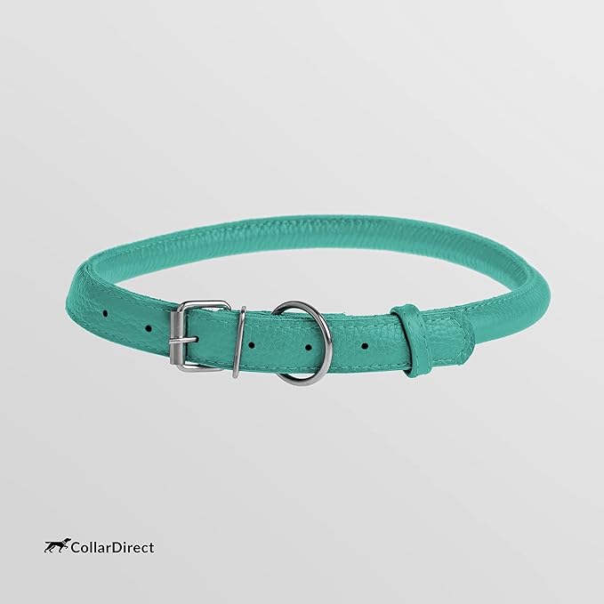 CollarDirect Rolled Leather Dog Collar, Soft Padded Round Puppy Collar, Handmade Genuine Leather Collar Dog Small Large Cat Collars 13 Colors (15-19 Inch, Mint Green Textured)