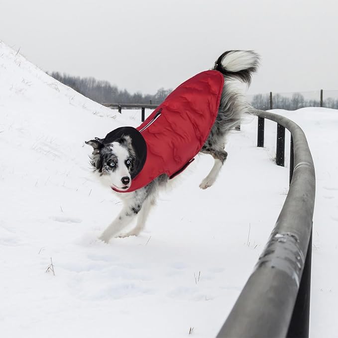 Nanaki Large Puffer Jacket for Dogs for Cold Weather-Warm Dog Winter Jacket with Leash Hole, Lightweight Windproof Puffer Vest with Hood for Outdoor Activities, Snowsuit Halloween Christmas, Red