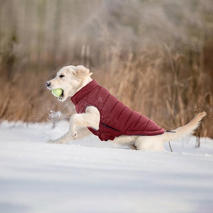 Lelepet Reversible Dog Coat Waterproof Dog Jacket Windproof Puffer Vest for Winter Warm Lightweight Coats for Medium Dogs Adjustbale Hook & Loop Pet Apparel with Leash Hole, French Bulldog, Wine Red L
