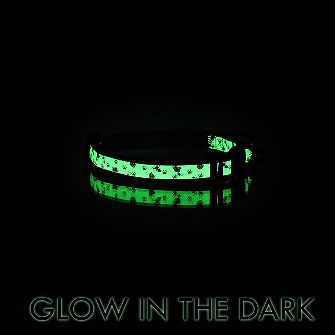 Pawtitas Glow in The Dark Cat Collar with Safety Buckle and Removable Bell Cat Collar Kitten Collar Blue Cat Collar