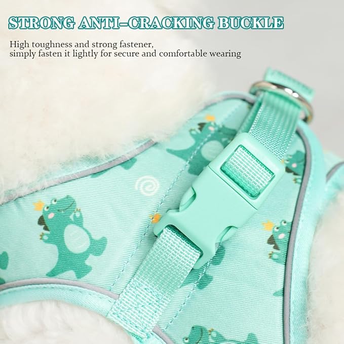 Step in Dog Harness and Leash Set, Flower Adjustable Easy Walk Puppy Harnesses, Soft Mesh No Pull Pet Vest Harness for Small Dogs and Cats(Beige, XS)