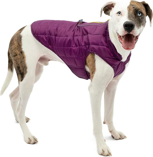 Kurgo Loft Dog Jacket - Reversible Cozy Coat for Outdoor Adventures - Water Resistant - Athletic Fit - Machine Washable Fabric - Reflective Dog Gear - Large - Deep Violet