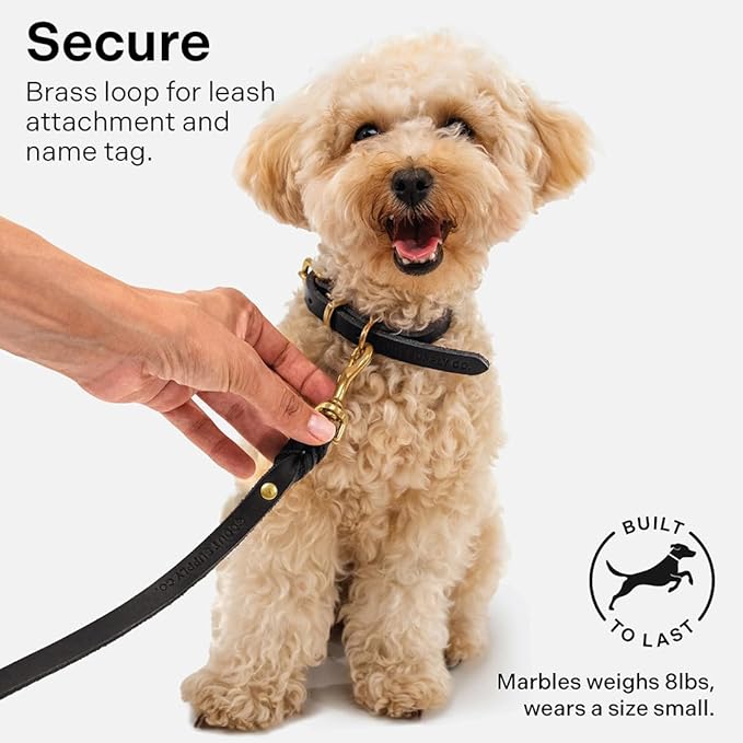 Classic Genuine Leather Dog Collar | Dog Collars for Medium Dogs, Small Dogs, Large Dogs & Extra Large Dog | Wide Dog Collar | Heavy Duty Collar (Black, Large)