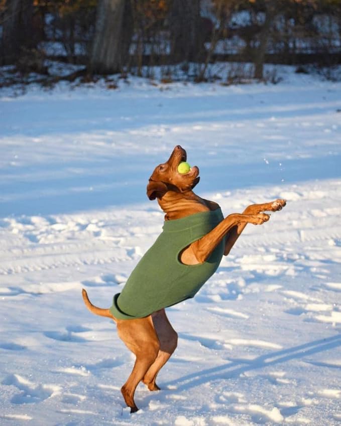 Gooby - Stretch Fleece Vest, Pullover Fleece Vest Jacket Sweater for Dogs, Sand, 5X-Large