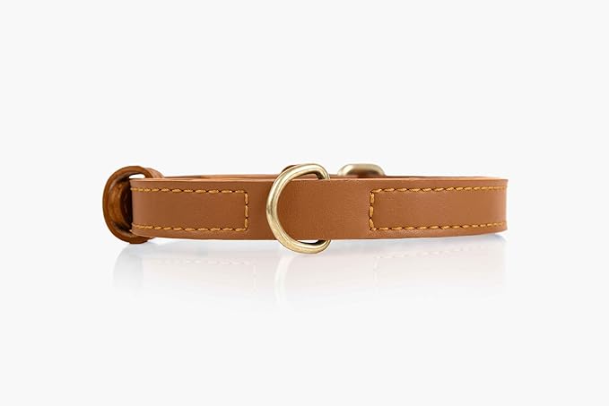 Two Tails Pet Company Cactus Vegan Leather Dog Collar, Adjustable Pet Collar With Gold Hardware and D Rings for Leash and ID Tag for Dogs and Puppies, Easy to Clean & Eco Friendly, Caramel, Size Large