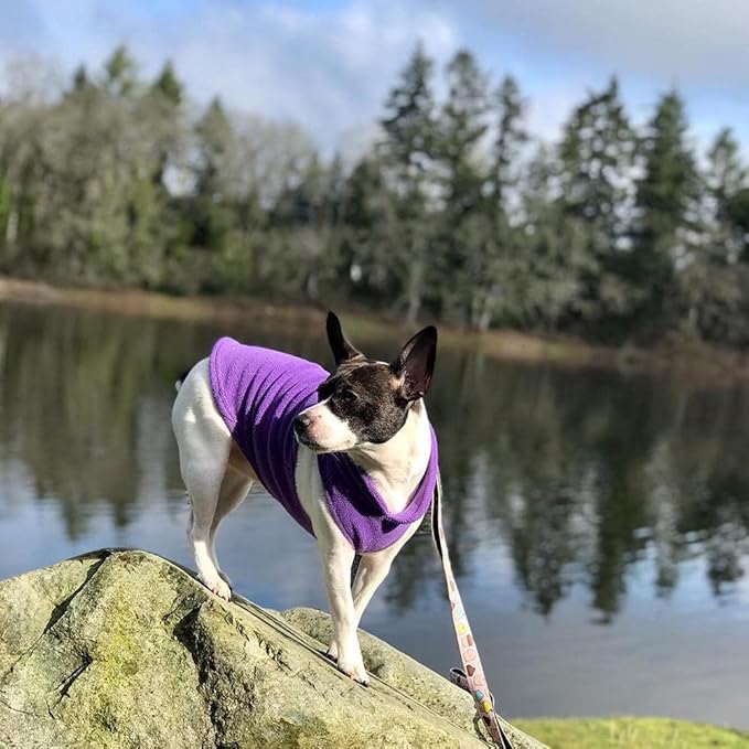 Gooby Fleece Vest Dog Sweater - Lavender, X-Small - Warm Pullover Fleece Dog Jacket with O-Ring Leash for Small to Medium Dogs