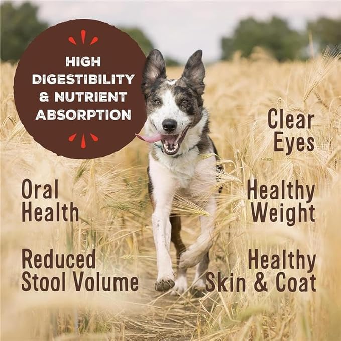 Primal Freeze Dried Raw Dog Food Nuggets, Lamb, Complete & Balanced Meal, Also Use as Topper or Treat, Premium, Healthy, Grain Free, High Protein Raw Dog Food, 14 oz (Pack of 2)