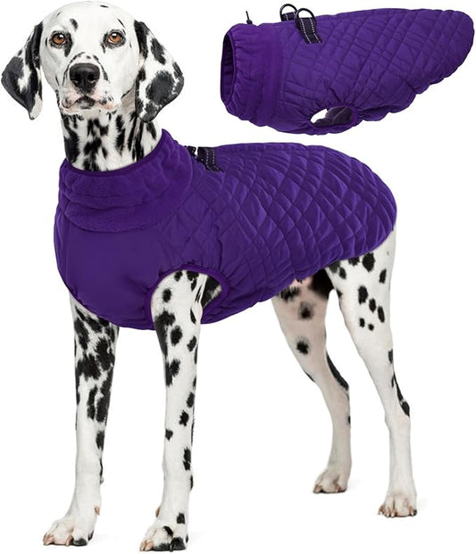 Kuoser XXL Winter Coat | Giant Breed Armor for Mastiffs & Great Danes | Zippers Secure Dogs in -20°F, Reflective Panels for Mountain Hikes, Purple XL