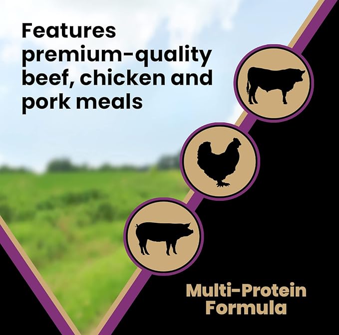VICTOR Super Premium Dog Food – Professional Dry Dog Food – Super Premium Kibble with 26% Protein – Gluten-Free with Beef, Chicken & Pork Meals – for High Energy and Active Dogs & Puppies, 40lbs