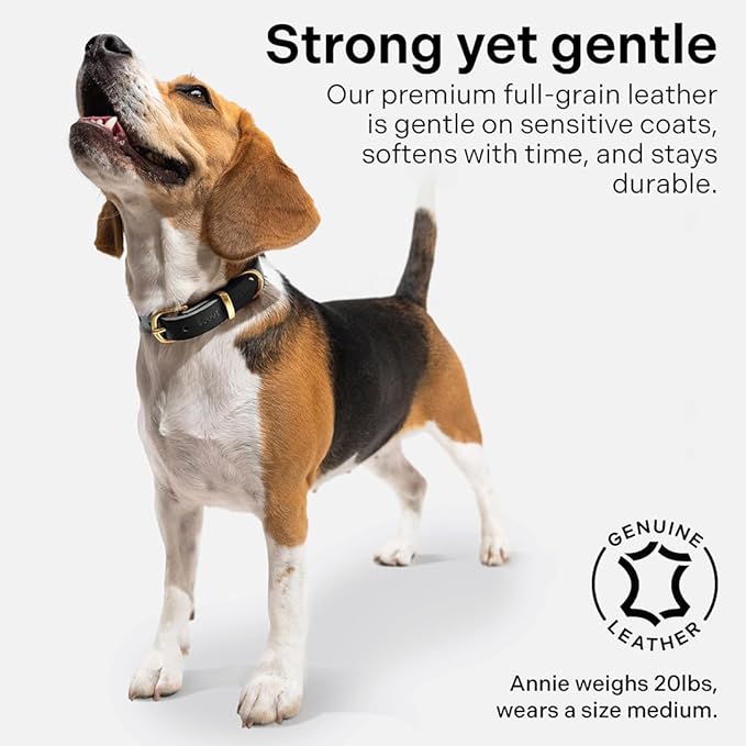 Classic Genuine Leather Dog Collar | Dog Collars for Medium Dogs, Small Dogs, Large Dogs & Extra Large Dog | Wide Dog Collar | Heavy Duty Dog Collar (Black, S: 0.5" Wide for 7.5"-10.5" Neck)