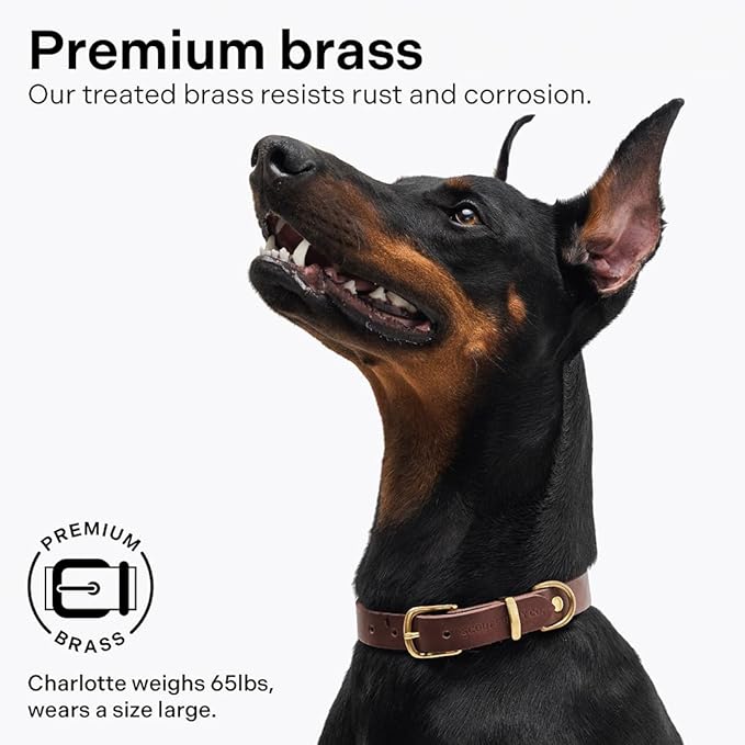 Classic Genuine Leather Dog Collar | Dog Collars for Medium Dogs, Small Dogs, Large Dogs & Extra Large Dog | Wide Dog Collar | Heavy Duty Dog Collar | Dark Brown (XL: 1.2" Wide for 18.5"-21" Neck)