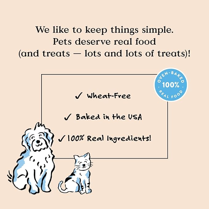Bocce's Bakery Phantom Feast All-Natural Soft & Chewy Halloween Dog Treats - Wheat-Free Everyday Cookies for Dogs, Made with Real Ingredients & Baked in The USA - Chicken & Pumpkin Flavored (6 oz Bag)