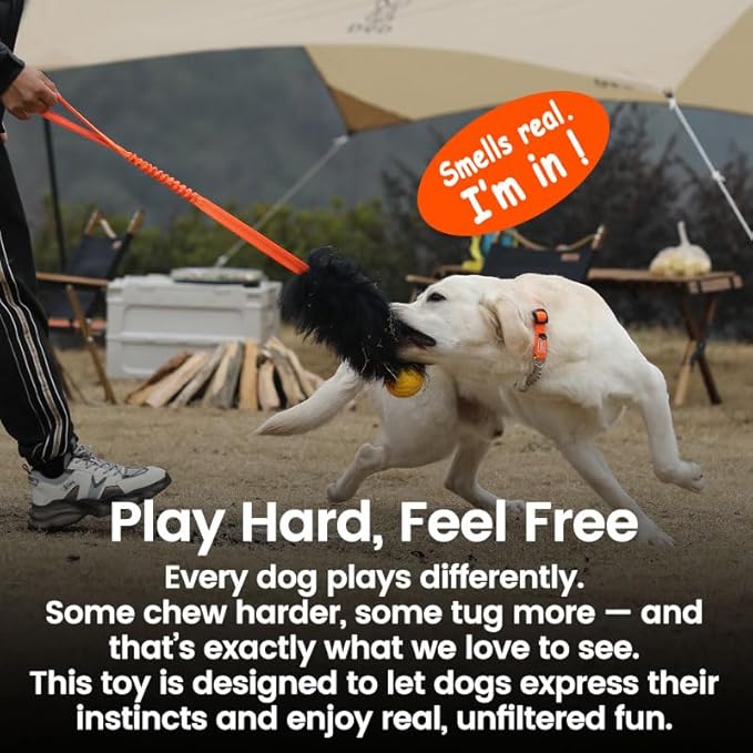 HOWGO Dog Rope Toy,Dog Bungee Chaser Toy 100% Sheepskin,Sheep Smell Tug Toy for All Breeds (Orange, Long Without Ball)