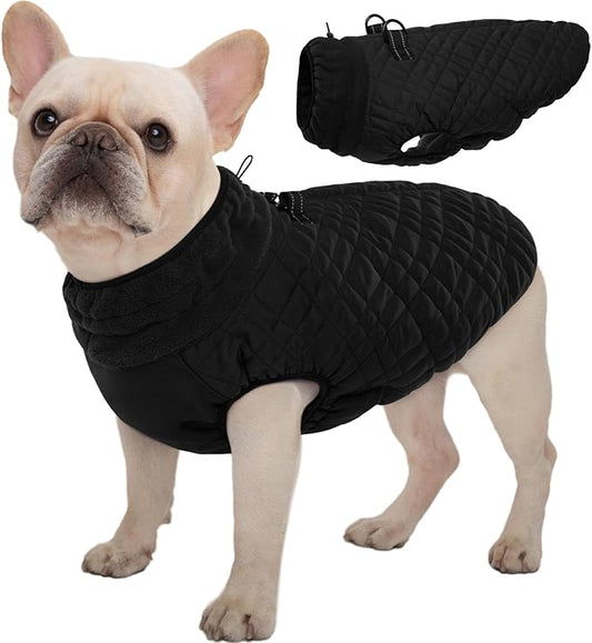 Kuoser Medium Dog Coat | All-Breed Thermal Wear with Windproof Layer | Reflective Tabs Enhance Visibility in Snow, Snap Buckles Simplify Dressing, Black M