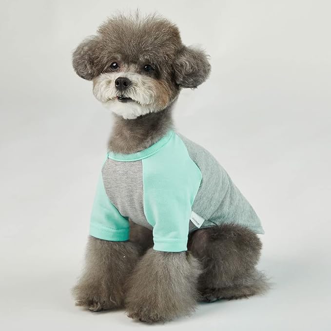 Dog Shirt for Small and Large Dogs Raglan Cotton T-Shirts Soft Breathable Dog Shirts pet Clothes Gray Series (Small, Gray/Mint)