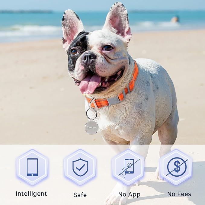 Dog Tags Personalized for Pets,Dog Name Tags QR Code,No Subscription Fees,Modifiable Pet Online Profile,Stainless Steel,No App Required,for Dogs and Cats Small,Medium,Large(Round,Regular)