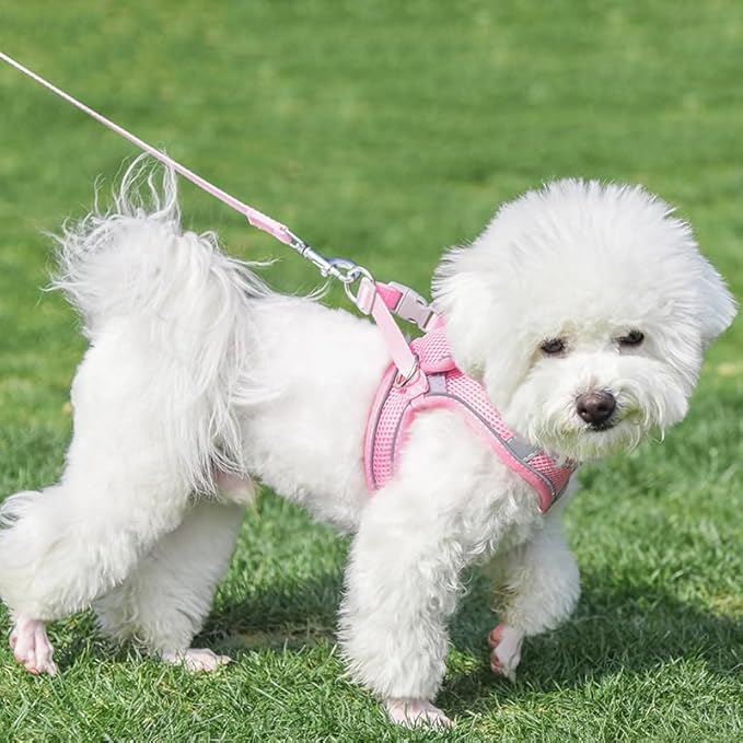 AIITLE Easy Walk Dog Harness and Leash Set - Pet Supply No Pull, Step in Adjustable Pet Harnesses with Padded Vest for Summer, No Choke Over, Easy to Put on Medium Dogs Pure Pink L