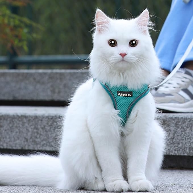 AIITLE Easy Walk Dog Harness and Leash Set - Pet Supply No Pull, Step in Adjustable Pet Harnesses with Padded Vest for Summer, No Choke Over, Easy to Put on Medium Dogs Pure Turquoise L