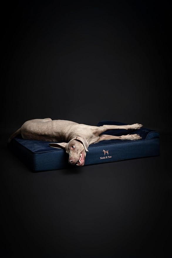 NOAH & PAW XL Dog Bed, 45x35x9.1 Inch, Orthopedic Large Dog Beds, Eggshell Memory Foam Infused with Cooling Gel, Waterproof, Machine Washable, Includes Inner Cover (Denim Collection)