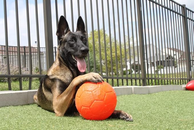 Jolly Pets Large Soccer Ball Floating-Bouncing Dog Toy, 8 inch Diameter, Orange