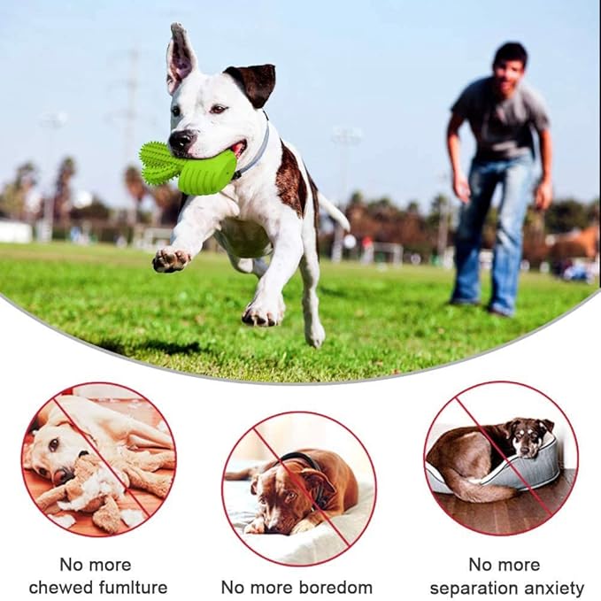 Dog Chew Toys, Toothbrush Stick Teeth Cleaning Brush Dental for Small Medium Large Dog, Rubber Squeaky Toys for Aggressive Chewers Cactus Tough Toys