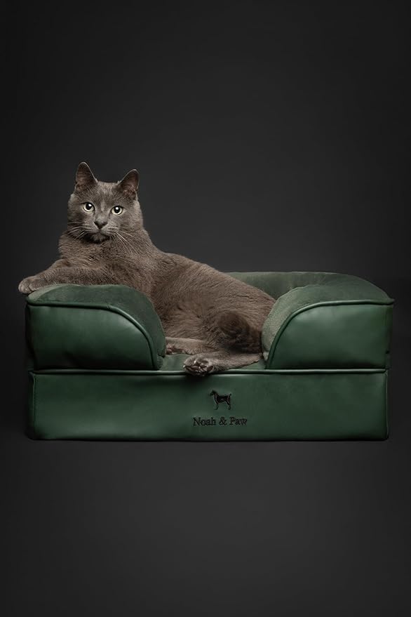 NOAH & PAW Small Dog Bed, 20x15x8 Inch, Cat Bed for Indoor Cats, Orthopedic Eggshell Memory Foam Infused with Cooling Gel, Waterproof Inner Cover Machine Washable (Faux Leather Collection)