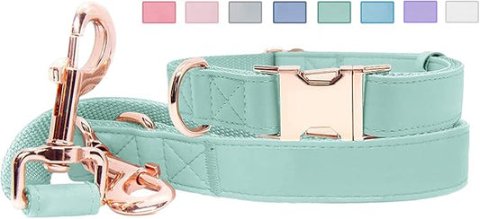 Soft Leather Dog Collar and Leash (6.6') Set - Stylish Rose Gold Heavy Duty Metal Buckle, 4 Adjustable Lengths Leash for Small Medium Large Dogs - Comfortable & Easy to Clean Mint Green S(12.2"-16.9")