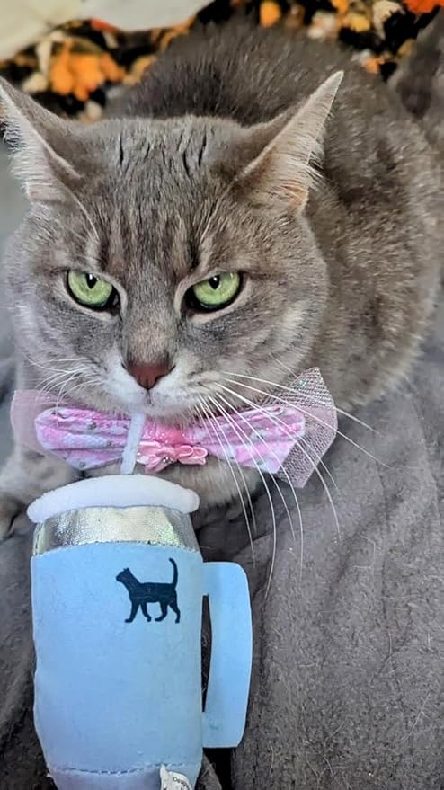 Kitty Cup Catnip Toy - Christmas & Birthday Cat Gift Toy with Catnip & Crinkle, Funny Stocking Stuffer for Girl Indoor Kitten (Chambray Blue)