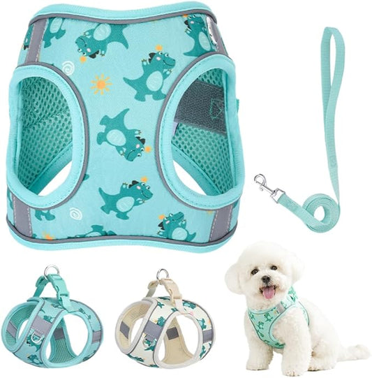 Step in Dog Harness and Leash Set, Flower Adjustable Easy Walk Puppy Harnesses, Soft Mesh No Pull Pet Vest Harness for Small Dogs and Cats(Green, XXS)