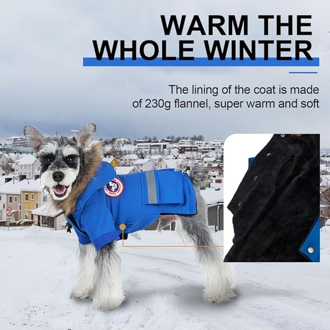 PINA Small Dog Coats - Waterproof, Warm Winter Jacket with Faux Fur Hood & Pocket